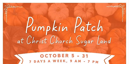 Pumpkin & Face Painting at the Pumpkin Patch!