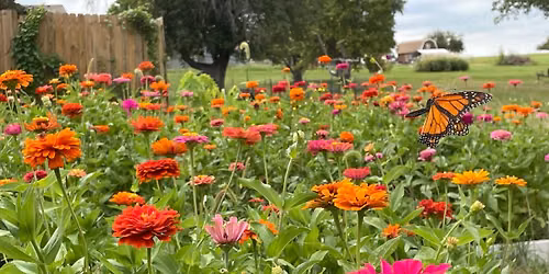 Master Gardeners Presents: Digital Tools for the Garden