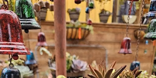 Sip & Succulent Class