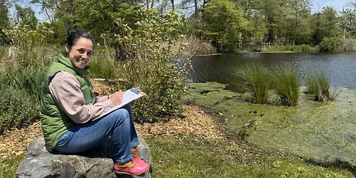Drawing in Jackson Woods
