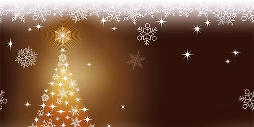 Slavnostn\u00ed rozsv\u00edcen\u00ed v\u00e1no\u010dn\u00edho stromu