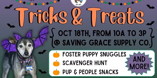 Tricks & Treats