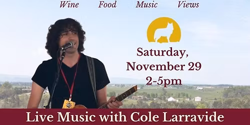 Cole Larravide at Wolf Gap Vineyard