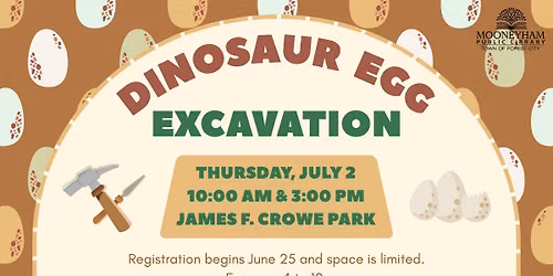 Dinosaur Egg Excavation