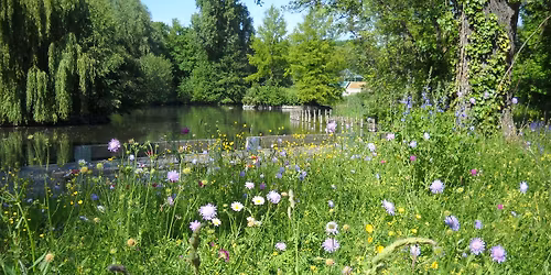 Geef & Ruilmarkt, planten en tuingerief