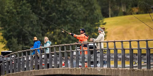 J\u00f8lster Aurefest 2026