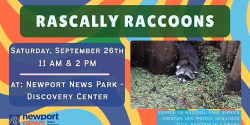 Rascally Raccoons