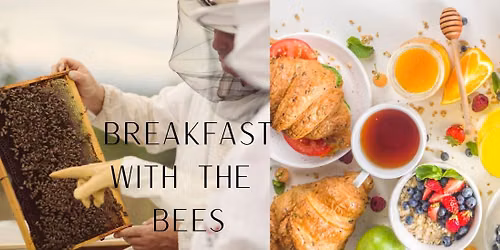 Breakfast With the Bees