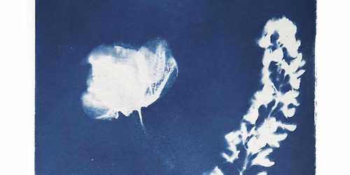 Summer ART Werx | Family ART Workshops | Cyanotypes