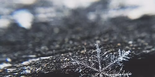 Winter Concert and Art Show (South Godwin FEE)