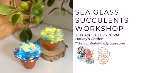 Sea Glass Succulents Workshop