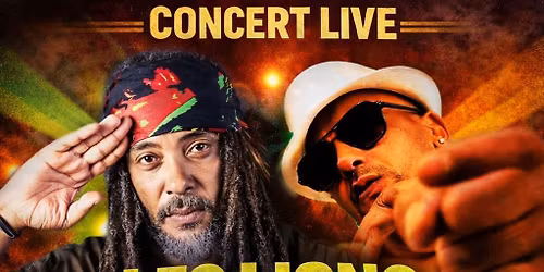 Concert live les lions indomptables 