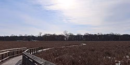 Holiday Wellness Walk