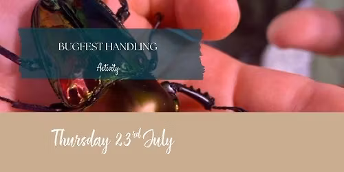 BUGFEST HANDLING - Customers Only