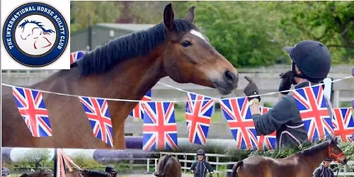 Horse Agility Training & Competition
