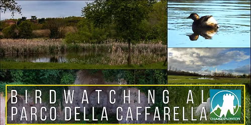 Birdwatching al Parco della Caffarella
