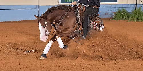 NRHA Reining Horse Futurity Equestrian at OKC Fairgrounds