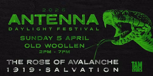 ANTENNA DAYLIGHT FESTIVAL