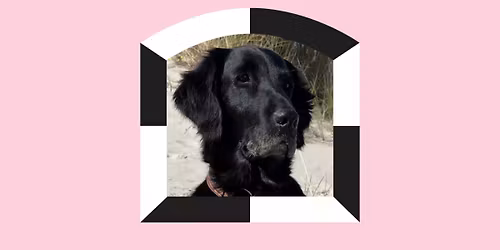 K\u00e5kens l\u00e4sklubb med l\u00e4shund - f\u00f6r dig med l\u00e4sneds\u00e4ttning