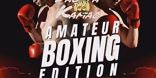 Sagupa ng Kamao: Amateur Boxing Edition