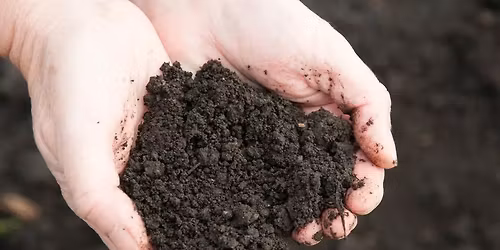 Get to know your Soil