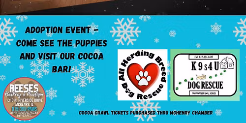 Cocoa Crawl and Adoption Event