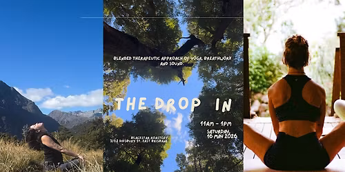 The Drop In
