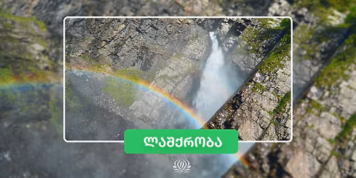 \u10d2\u10e3\u10d3\u10d0\u10db\u10d0\u10e7\u10d0\u10e0\u10d8: \u10d1\u10e3\u10e0\u10e1\u10d0\u10ed\u10d8\u10e0\u10d8\u10e1 \u10e9\u10d0\u10dc\u10e9\u10e5\u10d4\u10e0\u10d8 \u10d8\u10d5\u10da\u10d8\u10e1\u10d8\u10e1 \u10e2\u10e3\u10e0\u10d4\u10d1\u10d8\u10e1 \u10d7\u10d0\u10e0\u10d8\u10e6\u10d4\u10d1\u10d8 \u00a9 Green Zebra