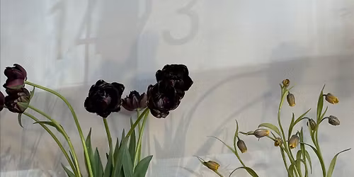 Petals & Pours - Vins D\u00e9salcoolis\u00e9s Avec Ap\u00e9ro \u00e0 z\u00e9ro