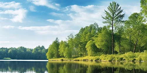 The Art of Living - Tree Plantation Event