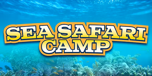 Sea Safari Camp