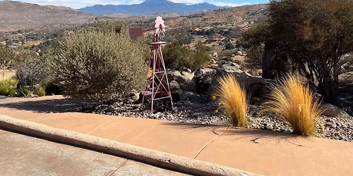 Orchard Market - Shop Local This Holiday!