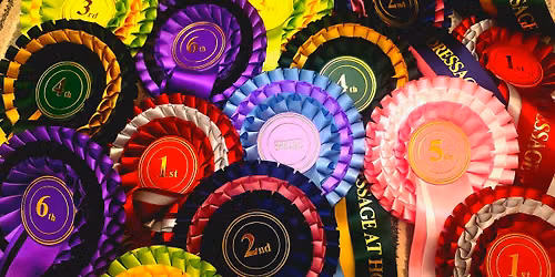 Dressage Show Necarne Castle 