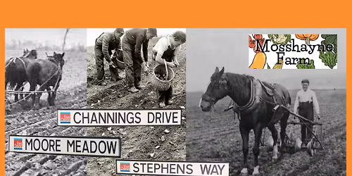 Free Mosshayne Farm Walk - discover the history linked to Tithebarn