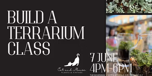 Build Your Own Terrarium