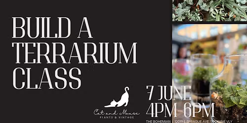 Build Your Own Terrarium