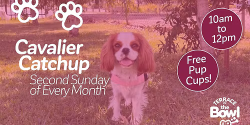 Cavalier Catchup