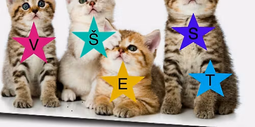 Lok\u00e1l Live s kapelou V\u0161est