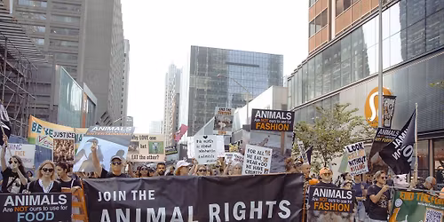 2026 Toronto Animal Rights March