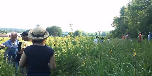Twilight Prairie Walk at Oconomowoc River Conservancy Park