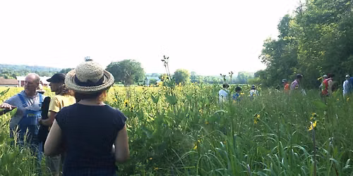 Twilight Prairie Walk at Oconomowoc River Conservancy Park