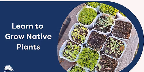 Learn to Grow Native Plants