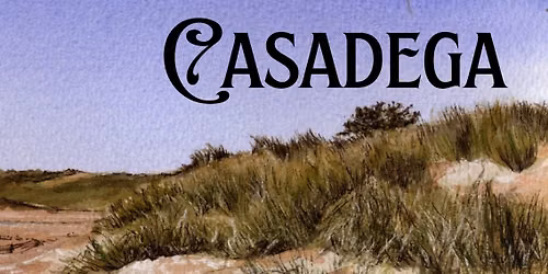 Casadega's debut at The Village Tavern, Coxhoe
