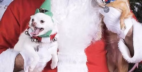 Photos with Santa!\ud83c\udf85