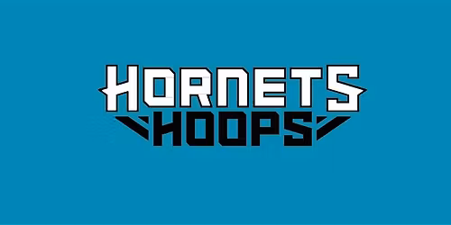 Hornets Hoops Holiday Mini Camp