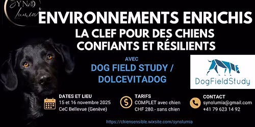 Environnements enrichis : pour des chiens confiants et r\u00e9silients (Cristina et Aur\u00e9lien Budzinski)