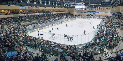 Parking Bemidji State Beavers at Minnesota Duluth Bulldogs Womens Hockey