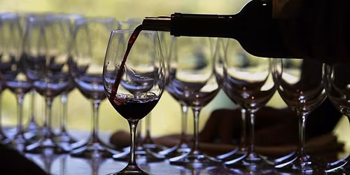 Wine Tasting Food Pairing Dinner