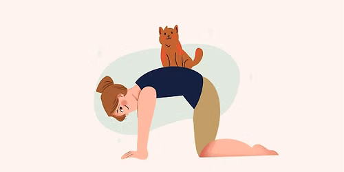 Cat Yoga