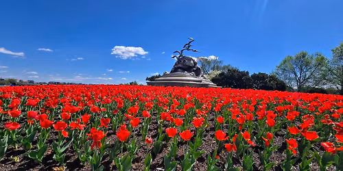Baltimore to DC Area (Eden Center in Fairfax)... Mostly trails! And MARC train home (63.5 miles)